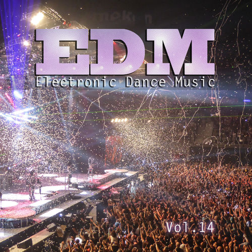 Electronic Dance Music Vol. 14