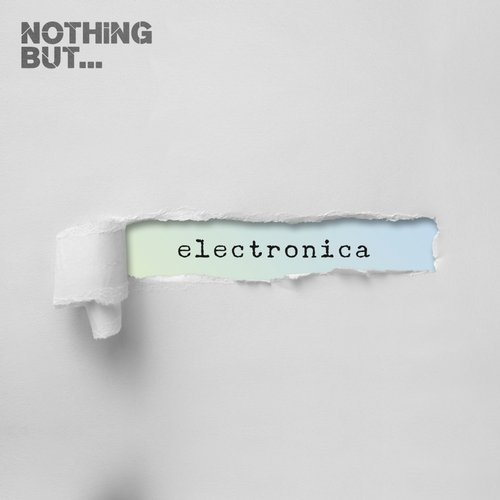 Nothing But Electronica Vol.13